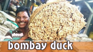 SECRET OF BOMBAY DUCK | பொம்பில் கருவாடு ரகசியம் தெரிந்து கொள்ளுங்கள் | Dry Fish Fry