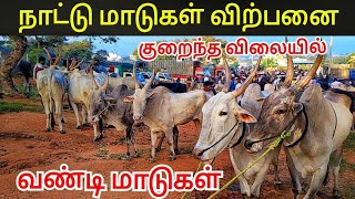 #Bagalur cowmarket ஒசூர் கால்நடை சந்தை பாகலூர் #cowmarket Bagalur cattle fair cows details