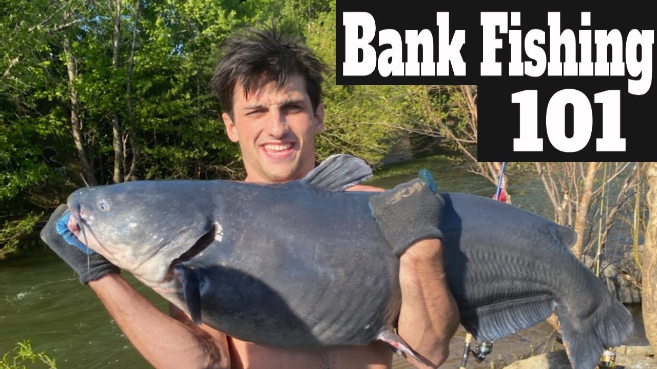 How To Catch Big Catfish From The Bank: Catching Catfish In Rivers ...