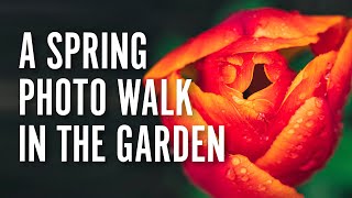 A Spring Photo Walk in Bellevue Botanical Garden