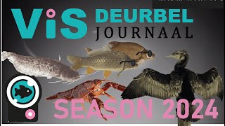 The Fish Doorbell season 2024 - the best Fish Videos