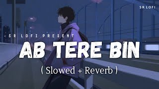 Ab Tere Bin Jee Lenge Hum - Lofi (Slowed + Reverb) | Raj Barman | SR Lofi