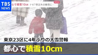 都心で積雪１０ｃｍ 東京２３区に４年ぶりの大雪警報【news23】