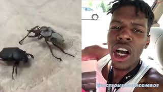 Grey Bug Ain’t No HOE!! LOL