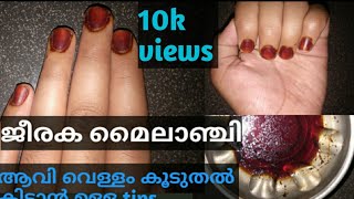 ഫസ്റ്റ് യൂസിൽ ഞെട്ടിക്കുന്ന റിസൾട്ട്/Eid special/nail mehandi at home/dark long lasting nail mehandi