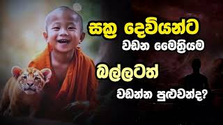 අවබෝධයෙන් මෛත්‍රිය වඩන්න🧘