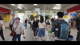 【ASMR】下班後的台北車站捷運 今天人很少耶 | Taiwan MRT system Main station