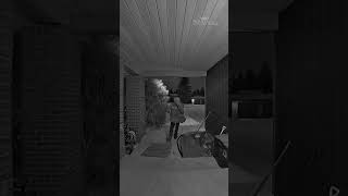 Caught on camera: Porch pirate steals dirty diapers from Edmonton step