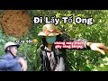 Vào Rừng Lấy Tổ Ong | Tuyền Vlog