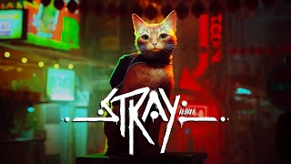 Stray. Рыжая мохнатка в мире киберпанка. Часть 1. ПК.