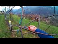 apple tree pruning m9 2018 04 09 year 2