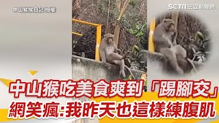 中山猴吃美食爽到「踢腳交」　網笑瘋：我昨天也這樣練腹肌｜三立新聞網 SETN.com