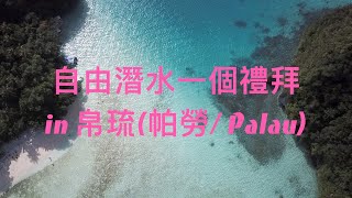 [海廢教練]  自由潛水一個禮拜 in 帛琉 (帕勞/Palau)  2019