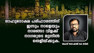 (നിങ്ങളുടെ ഇന്നും നാളെയും) രാഹു ദോഷപരിഹാരത്തിനായി നിങ്ങൾ സ്വന്തമായി ഇങ്ങനെ ചെയ്യൂ