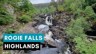 ROGIE FALLS - Must Visit WATERFALL On NC500 - Scotland Walking Tour | 4K | 60FPS