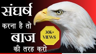 संघर्ष करना है तो बाज़ की तरह करो|एक बाज़ की कहानी|Eagle Powerfull motivation|Mukesh Motivation7|mm7