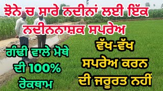 ਝੋਨੇ ਚ ਸਾਰੇ ਨਦੀਨਾਂ ਲਈ ਇੱਕ ਦਵਾਈ 💯 ਰੋਕਥਾਮ | Weed control in paddy with single spray