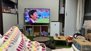 キックオフ前からドイツ戦の興奮が伝播するウチのニャンコ（my cat excited by soccer）