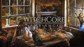 WitchCore ◈ Autumn Forest 🍂 Good Witch Cabin / Cats, Herbs, Light Rain + Soft Music