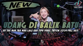 DJ UDANG DI BALIK BATU LESTI - KU TAK MAU LAGI KAU TIPU KU TAK MAU LAGI KAU SENTUH VIRAL TIKTOK 2024