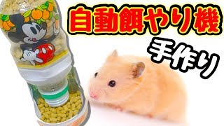 ハムスター の形をした 家 本物の ハムスター 入ったら 超 かわいい アイロンビーズでお家作ってみた Diy