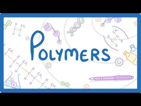 What are the types of polymers?