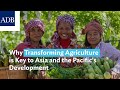 Why Transforming Agriculture is Key to Asia and the Pacific's Development