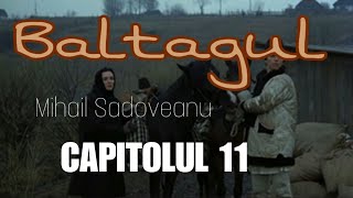 BALTAGUL - Capitolul 11 - de Mihail Sadoveanu