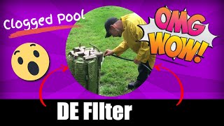 Clogged Pool DE FIlter Grids