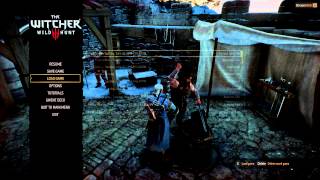 Witcher 3  - Hard Times Quest Bug Solution