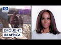 Real Risk Of Famine Due To Worsening Drought In Horn Of Africa - WFP