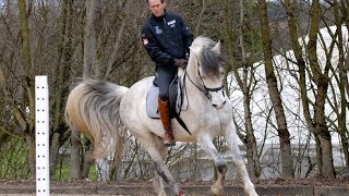 Working Equitation Charly und Pedro Torres