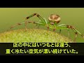 【感動する話】泥酔した美しい常連客が「きゃぁぁ」彼女の秘密を知ると実は女医で「全部見えた？」俺「はい、全部 」すると彼女が近寄り 【いい話・朗読・泣ける話】