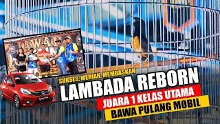 Bawa Pulang Mobil Brio, Murai Batu LAMBADA REBORN Juara 1 Kelas Utama SMM feat H.Jui