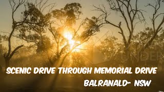 🌤️🌳Scenic Drive Through Memorial Drive, Balranald 🐸🚘| Stunning Outback Views🍃✨