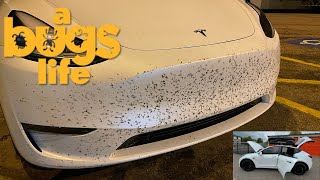 Bugs Attacked my Tesla as I Road Trip West to Camp Off-Grid | S1:E3