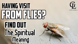 Having Visit From Flies? Find out the spiritual meaning!