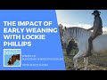 The Impact of Early Weaning for Horses with Lockie Phillips