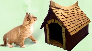 how to make easy cat house using cardboard