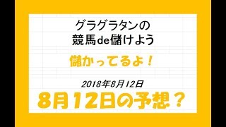 グラグラタンの競馬予想？！　８月１２日（日）分