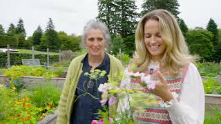 Flower Arranging from the Kitchen Garden at Cromlix