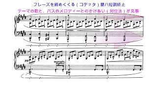 【楽譜解説】ベートーヴェン  「月光」 第1楽章　〜ソナタ形式の自由な応用〜　pf バックハウス