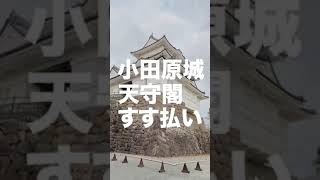 小田原城天守閣すす払い【令和2年12月9日】