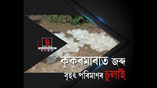 কুকুৰমাৰাত চুলাই মদৰ বিৰুদ্ধে আৰক্ষীৰ অভিযান। অভিযানত জব্দ ১ হাজাৰ লিটাৰ চুলাই মদ।