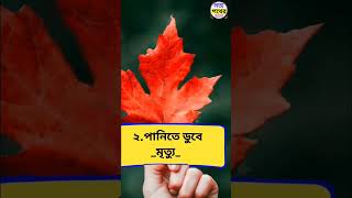 এই মৃত্যু নিশ্চয় জান্নাত।#shortvideo#shortyoutube#shortvairal#foryou#foryoupage#jannat#islamicshort