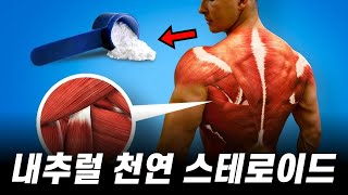 내추럴이 근육의 성장을 가속화하는 '진짜 방법' 5가지