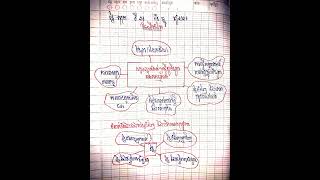 សេដ្ឋកិច្ច [មេរៀនទី៤: ទីផ្សារ]