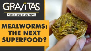 Gravitas: Mealworm smoothies & cricket pasta on the menu
