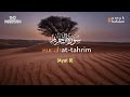 Surah At-Tahrim سورة التحريم ayat 8 (10X Pengulangan) - Metode Ummi #untukhafalan