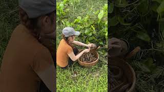 Unbelievable oil fishing technique with an unique survival skills to catch giant eel fish